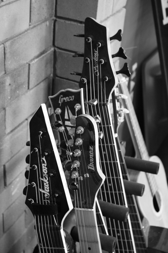 jackson und ibanez gitarren